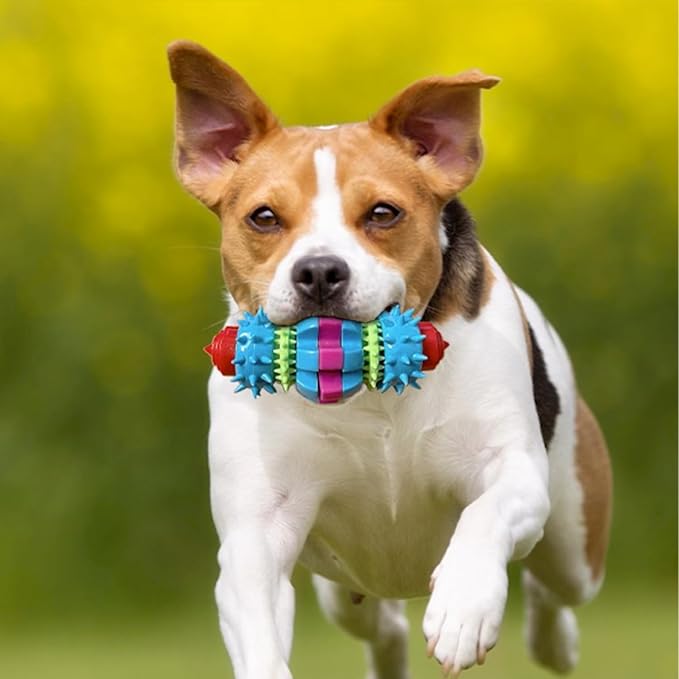 [2 Pack] Dog Puzzle Toys to Keep Them Busy, Spiky Rotating Dental Bone Treat Dispensing Squeaky Toys, Mental Stimulation Interactive Dog Enrichment