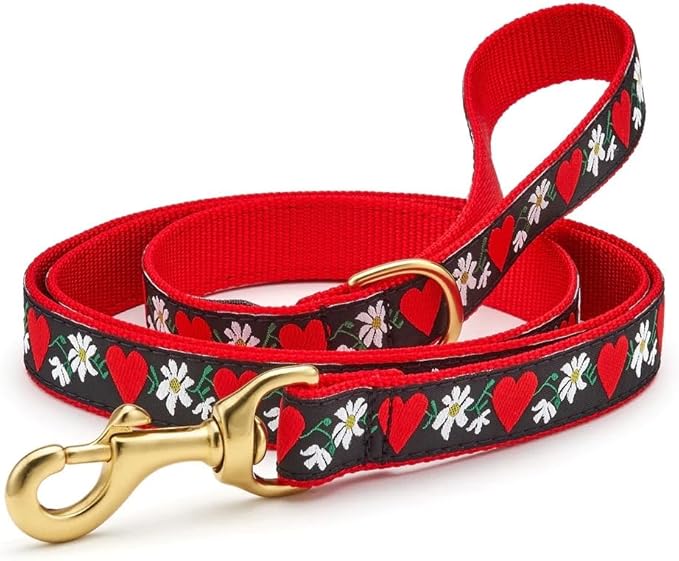 Up Country, Dog Lead Hearts and Flowers Pattern Leash with D-Ring, 5 Foot 1" Wide