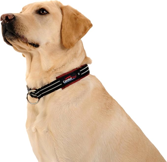 ComfortFlex Premium Padded Martingale Dog Collar – Reflective Waterproof Slip-On Limited Slip Collar for Gentle Control & Escape Prevention - Medium, Hot Pink