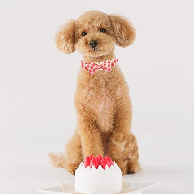Elegant little tail Dog Collar, Spring Dog Collars with Bow Strawberry Print Cotton Soft Female Pet Collar Bowtie Floral Adjustable Pet Collar for Medium Dogs