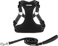 Best Pet Supplies Voyager Adjustable Step-in Flex Breathable Mesh Dog Harness for Small Medium Large Dogs Leash Set (Black), M