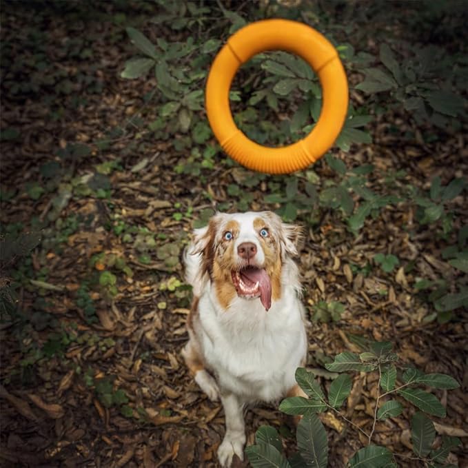 Green Sheep Natural Rubber Dog Chew Toy, Indestructible Dog Toys for Aggressive Chewers, Tough Chew Toys for Small to Large Dogs, Medium Yellow Ring for Medium Dogs