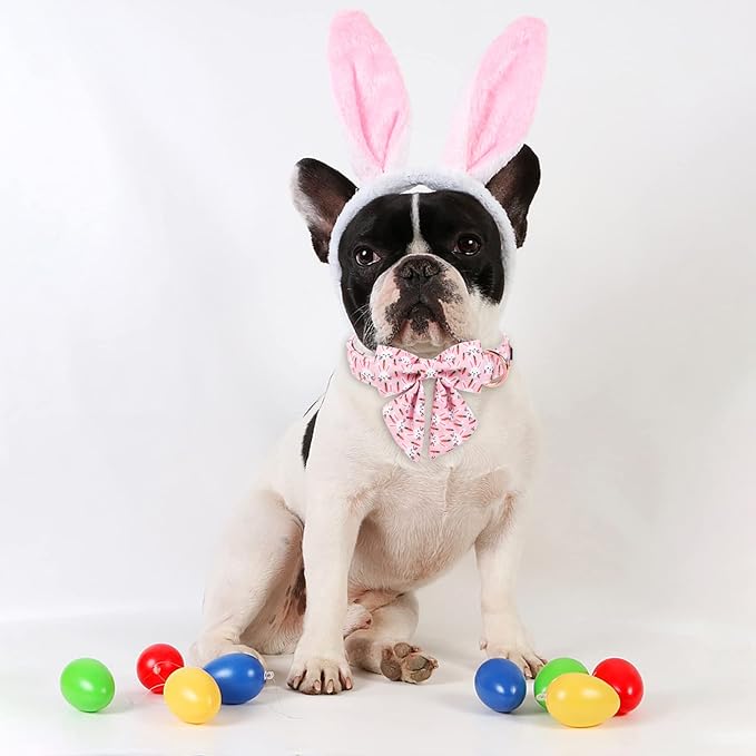 ARING PET Easter Dog Collar-Cute Rabbit Dog Collar with Sailor Bowtie, Cotton Adjustable Carrots Dog Collars with Metal Buckle