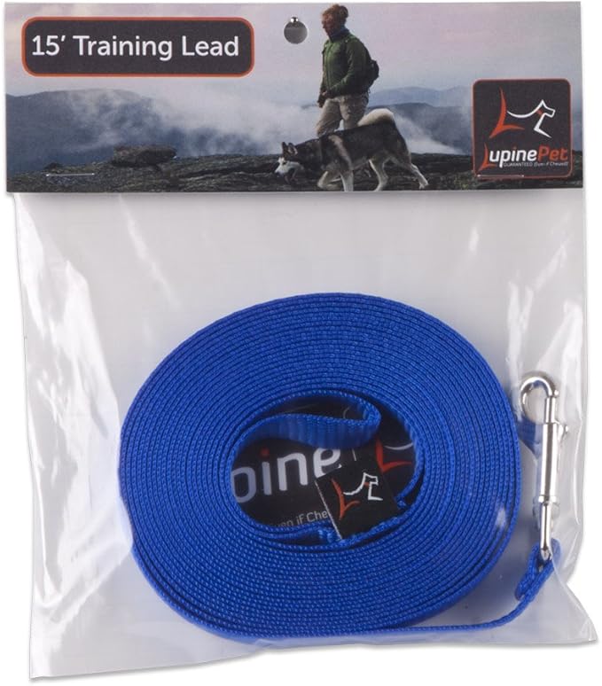 LupinePet Basics 1/2" Blue 15-foot Extra-Long Training Lead/Leash for Small Pets