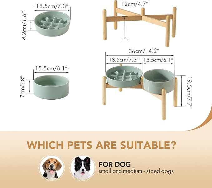 Ceramic 1.2 Cup Raised Slow Feeder Dog Bowl Set, Elevated 6.1inch Bowl and 7.3inch Slow Pet Food Dish with Wooden Stand for Small and Medium Dog (2 x Light Green+ Stand)