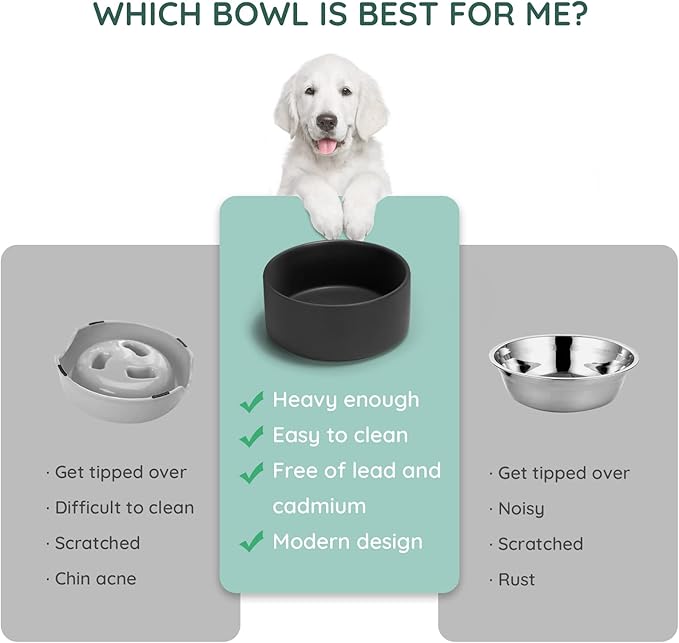 SPUNKYJUNKY 42OZ Ceramic Dog and Cat Bowl, Modern Cute Weighted Food Water Bowl for Replacement Black (2 Pack)