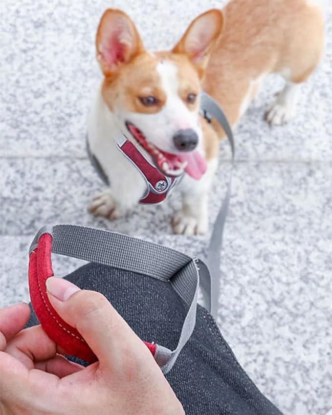 Small Dog Harness and Leash Set,No Pull Adjustable Step in Soft Mesh Vest Harness,Easy Walk Reflective Pet Harness with Padded Handle for Walking Training Small Medium Large Dogs and Cats (Red, S)