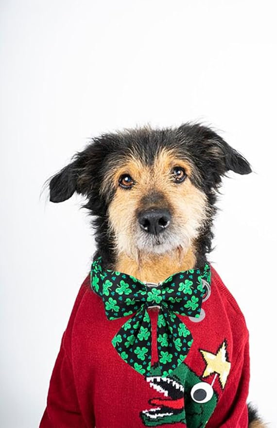 DOGWONG Green Lucky Clover Shamrock Dog Collar with Bowtie, Soft Adjustable St. Patrick's Day Lucky Charm Black Puppy Collar for Small Medium Large Dog