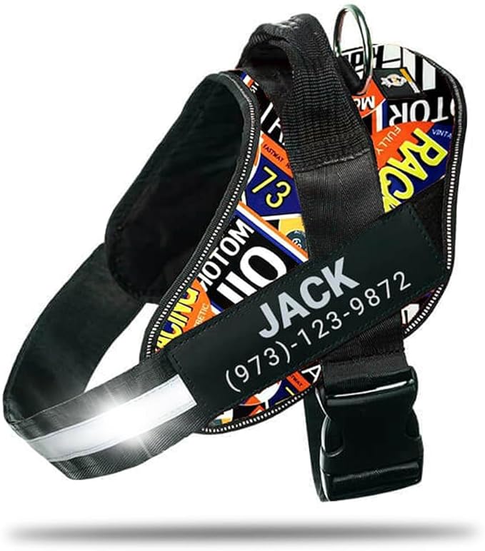 Personalized No-Pull Dog Harness with Name Patch, Adjustable, Reflective, Padded, Heavy Duty Pet Vest to Prevent Tugging, Pulling, or Choking, Training and Walking, Motorsport, S