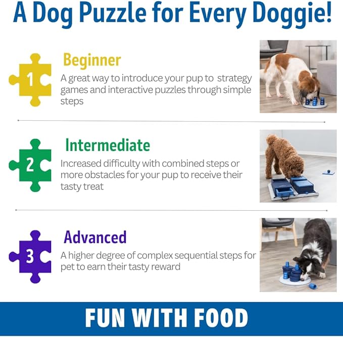 TRIXIE Poker Box 2 Dog Activity Interactive Toy, Level 3 Food Puzzle Game, Brain Teasing Treat Dispenser, IQ and Mental Development Toy for Smart Dogs, Enrichment Toy for Boredom Busting