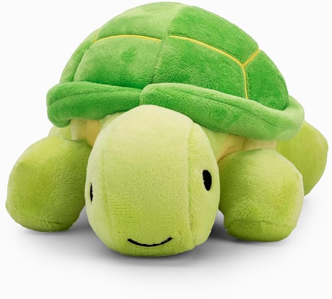 Flourish Pets 3 in 1 Multi-Layer Chew Toy for Active Dogs | Non-Toxic BPA Free Double Stitched Soft Fabric Exterior Dog Toys | Long-Lasting Dog Plush Toys – Small Turtle 7.5"