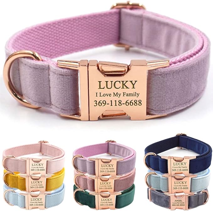 PETDURO Custom Dog Collar Personalized with Name Engraved Quick Release Rose Gold Metal Buckle for Large Medium Small Girl Dogs - Dog Leash and Bow Tie Available - Soft Comfy Velvet (Purple, XL)