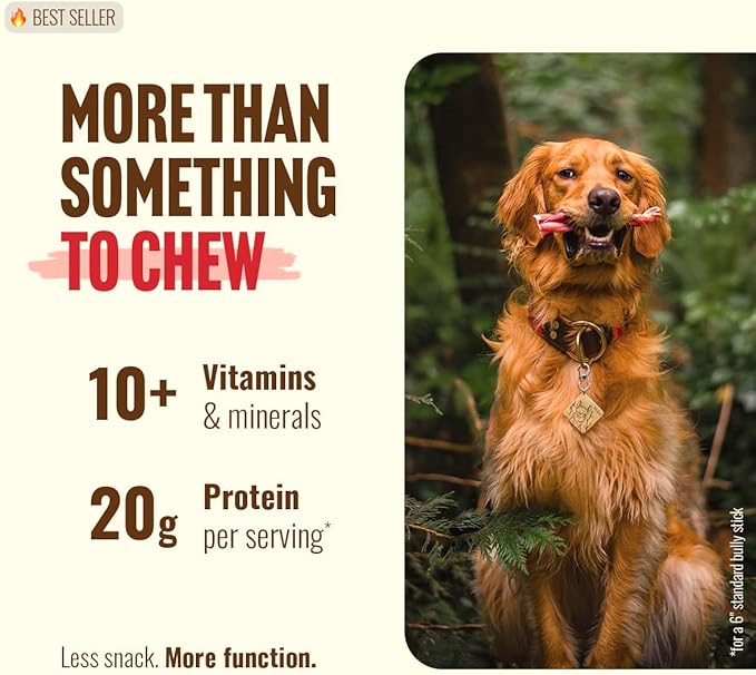 Natural Farm Bully Sticks, Odor-Free (12 Inch, 5 Count), 8.8 Oz. Per Bag, 100% Beef Chews, Grass-Fed, Non-GMO, Fully Digestible Dental Treats to Keep Your Small and Medium Dogs Busy and Happy