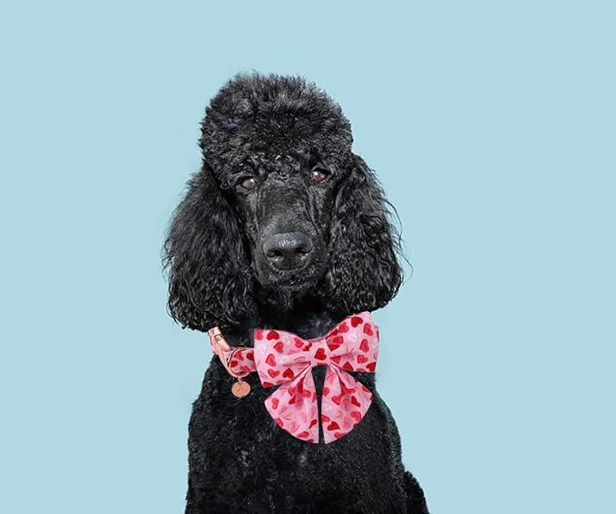 DOGWONG Valentine's Dog Collar with Sailor Bowtie - Pink Heart Adjustable Cotton Heart Dog Collar - Perfect for Small, Medium, Large Dogs