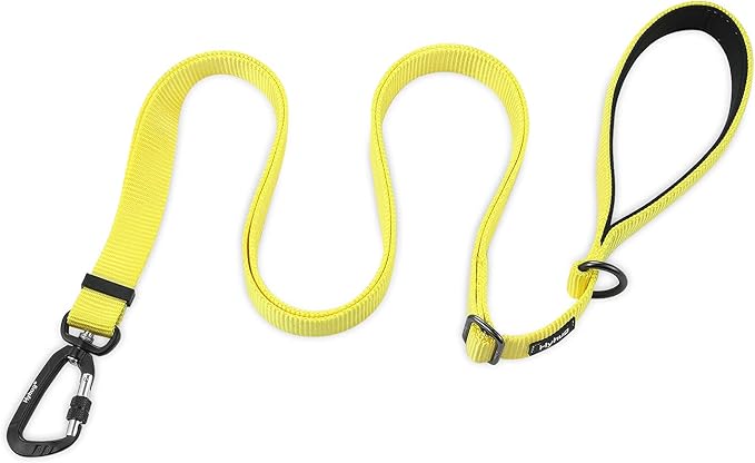 Hyhug Nylon Adjustable 4-6ft Dog Leash with Soft Neoprene Padded Handle, Durable Heavy Duty Leash with Easy-to-Use Bolt Snap, Ideal for Jogging Outdoor