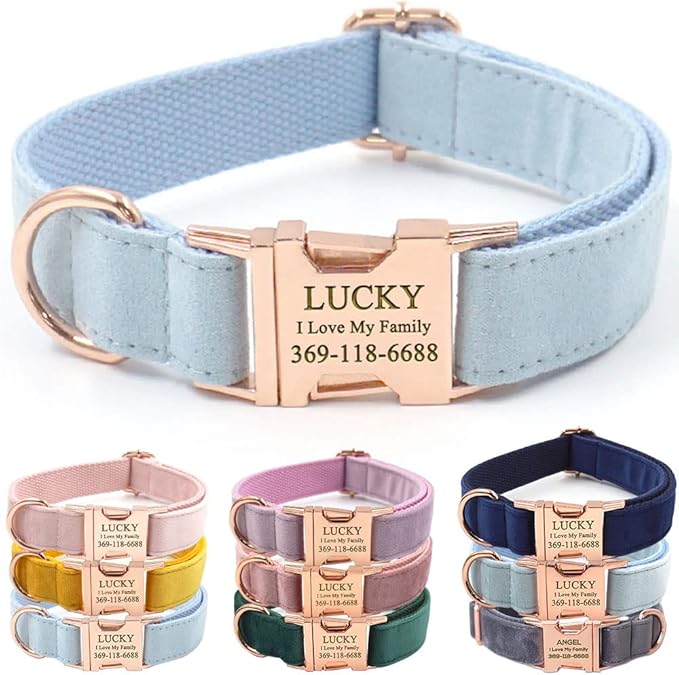 PETDURO Custom Dog Collar Personalized with Name Engraved Quick Release Rose Gold Metal Buckle for Large Medium Small Girl Dogs - Dog Leash and Bow Tie Available - Soft Comfy Velvet (Light Blue, M)