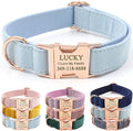 PETDURO Custom Dog Collar Personalized with Name Engraved Quick Release Rose Gold Metal Buckle for Large Medium Small Girl Dogs - Dog Leash and Bow Tie Available - Soft Comfy Velvet (Light Blue, L)