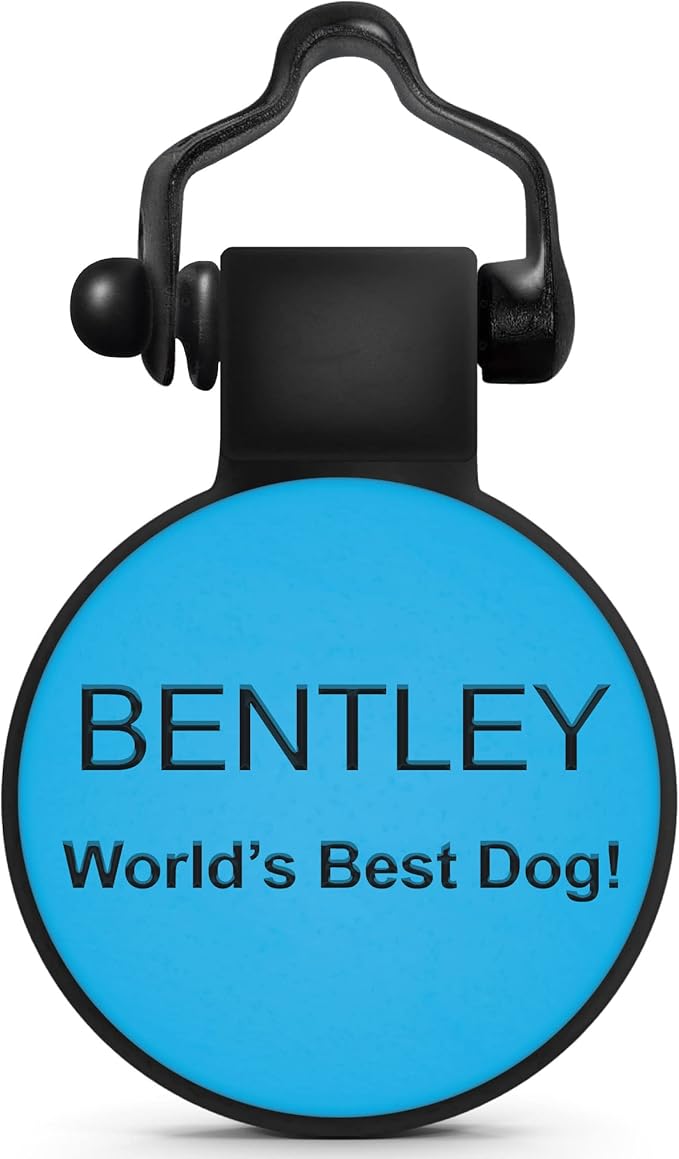SiliDog - The Original Silicone Silent Dog Tag - Personalized Engraved Soundless Pet ID - As Seen On Shark Tank - Durable - Never Fades - Mini-Circle - Blue