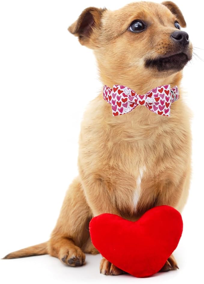 Lionet Paws Valentine's White Dog Collar, Cute Heart Dog Collar for Medium Dogs, Adjustable Cotton Pet Collars for Small Medium Dogs