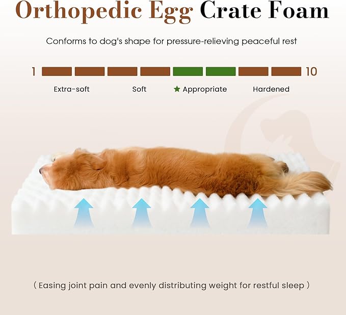 Orthopedic Dog Bed Medium Size Dog, Pet Beds with Waterproof Lining, Soft Short Plush Surface & Egg Crate Foam, Machine Washable Pet Mat with Removable Cover & Anti Slip Bottom