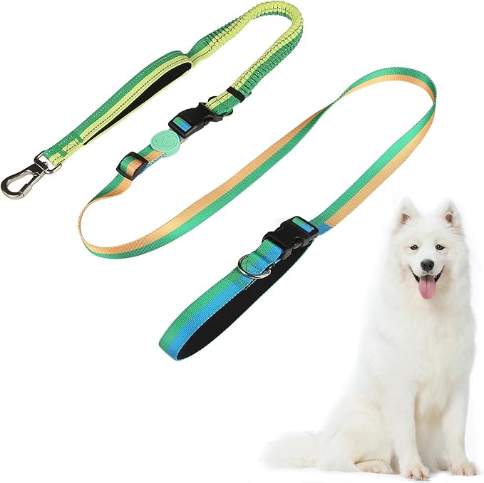 ‌EVERKING 6ft Hands-Free Dog Leash - 6-in-1 Adjustable with 360° Rotating Buckle, Night Reflective & Shock Absorbing for Large/Small Dogs (Up to 120lbs) (Green)