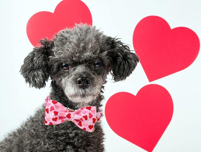 DOGWONG Valentine's Dog Collar with Bowtie - Pink Heart Adjustable Cotton Heart Dog Collar - Perfect for Small, Medium, Large Dogs