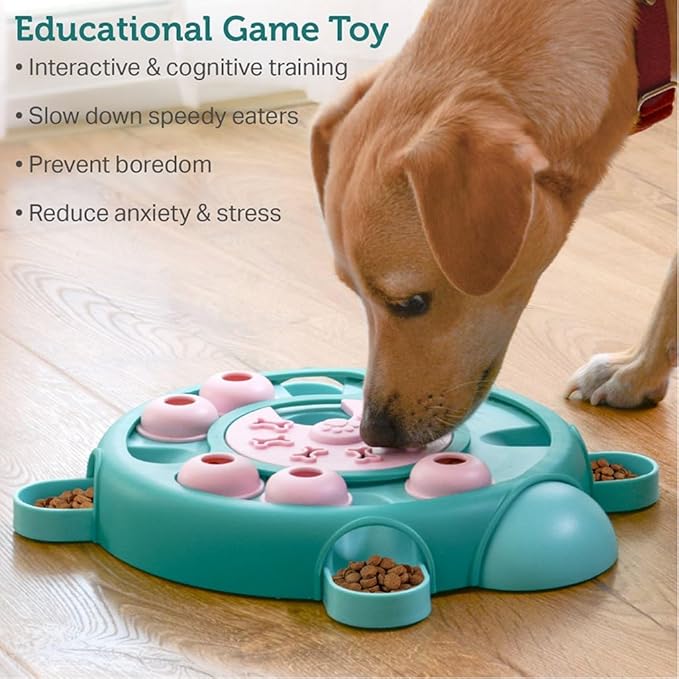 Friends Forever Dog Puzzles Toys with Slower Feeder, Interactive Toy with Food Puzzle for Stimulation and Treat Training Game, Treat Dispenser Toys for Dogs, Tortoise Puzzle
