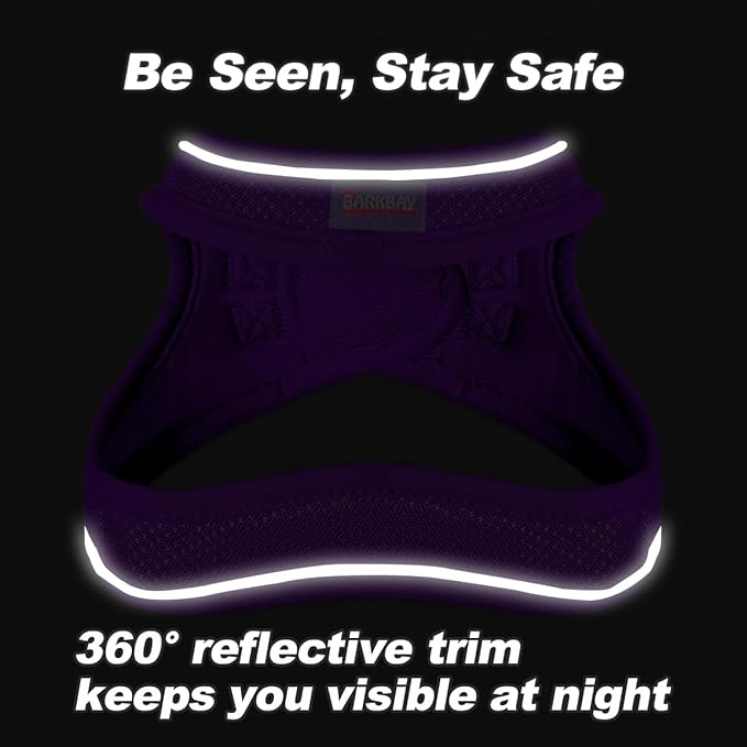 Dog Harness and Leash Set,Step in Small Sized Dog Harness,Soft Mesh,No-Chock,Reflective Adjustable,Secure with Hook & Loop Fastener,Puppy Vest for Small,Medium Dogs(Purple,XXXS)