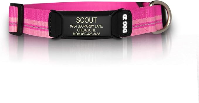 The Rock Solid Collar ID (Graphite Pink, Small)