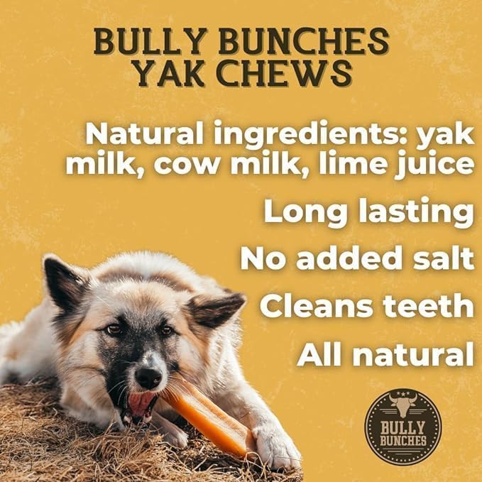 Bully Bunches Premium Fruit-Flavored Himalayan Yak Chew for Dogs - 100g, All-Natural, Long-Lasting, Authentic Yak Milk, Healthy Dental Chew, High-Protein (Medium Strawberry - 3Pk, Strawberry)