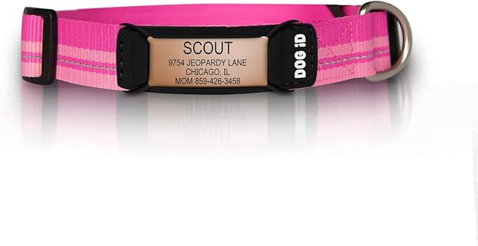 The Rock Solid Collar ID (Rose Gold Pink, Small)