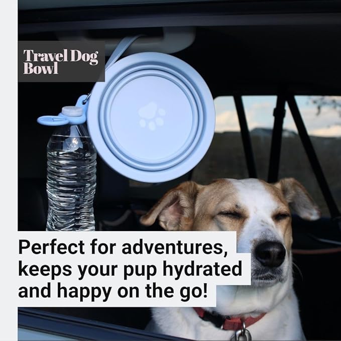 Black Slow Feeder Travel Dog Bowl Set | 30oz Stainless Steel + 20oz Collapsible Silicone Dish | Water Bottle Holder| Non-Slip, Anti-Choking, BPA-Free | We Give Back