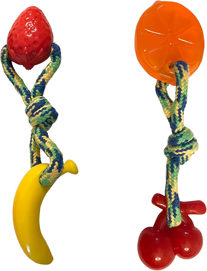 Friends Forever Dog Rope Toy, Tough Dog Chew Toys, Plastic Rubber Durable Puppy Teething Toy, Orange/Banana 2 Piece