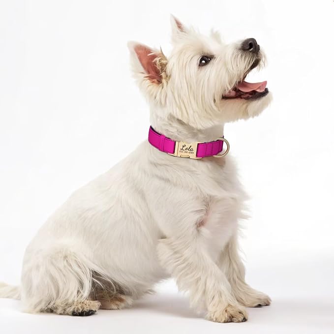 PET ARTIST Colorful Personalized Dog Collars, Custom Dog Collar with Silent Engraved ID Tag, Lightweight Breathable Nylon & Soft Padded, Matching Leash & Poop Bag for Medium Dogs,Rose,M Fit 13-20"