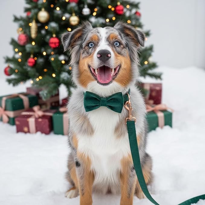 PETDURO Custom Dog Collar Personalized with Name Engraved Rose Gold Metal Buckle for Large Medium Small Dogs - Soft Cute Velvet Dog Leash and Bow Tie Available (Christmas Green RG, L)