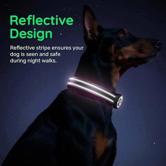 Airtag Dog Collar, Reflective Ultra-Durable Nylon Padded with QR Code Buckle & IP68 Waterproof Air Tag Holder Compatible for Apple AirTag, Comfortable for Small Medium Large Dogs(Purple,L)