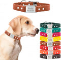 dogIDs Personalized Dog Collar – ScruffTag Custom Waterproof Biothane Dog Collar with Laser-Engraved Name, Durable & Odor-Resistant – USA Made | Terracotta, 1 in x 20 in (Fits Neck Sizes 18-22 in)
