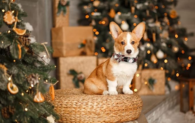 ARING PET Christmas Dog Collar, Cute Xmas Red Green Plaid Detachable Flower Pet Collar with Metal Buckle for Puppy Small Medium Large Boy Girl Dog-XS