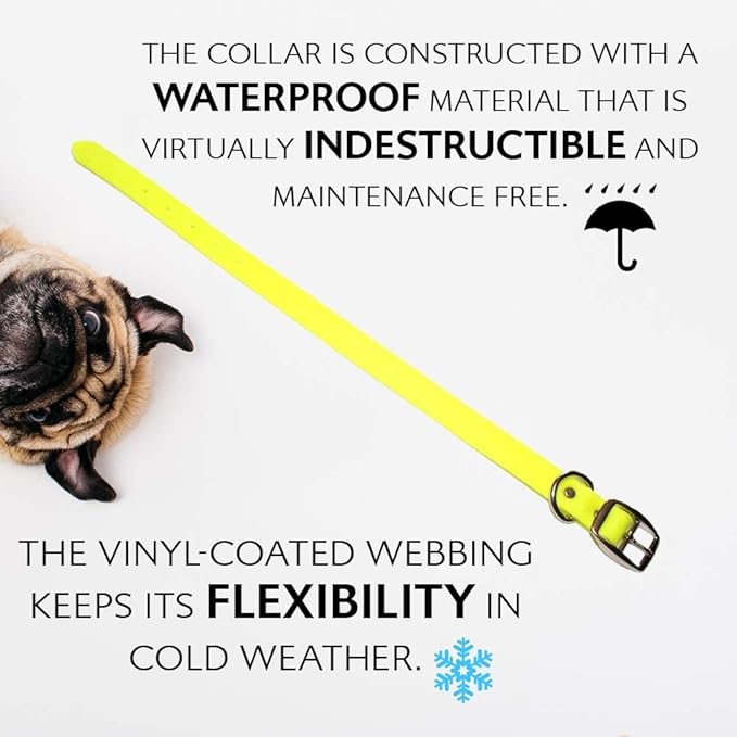 Regal Dog Products Small Yellow Waterproof Dog Collars with Custom Engraved Name Plate | Vinyl Coated, Anti, Easy to Clean Personalized Dog Collar - Other Sizes for Medium & Large Dogs