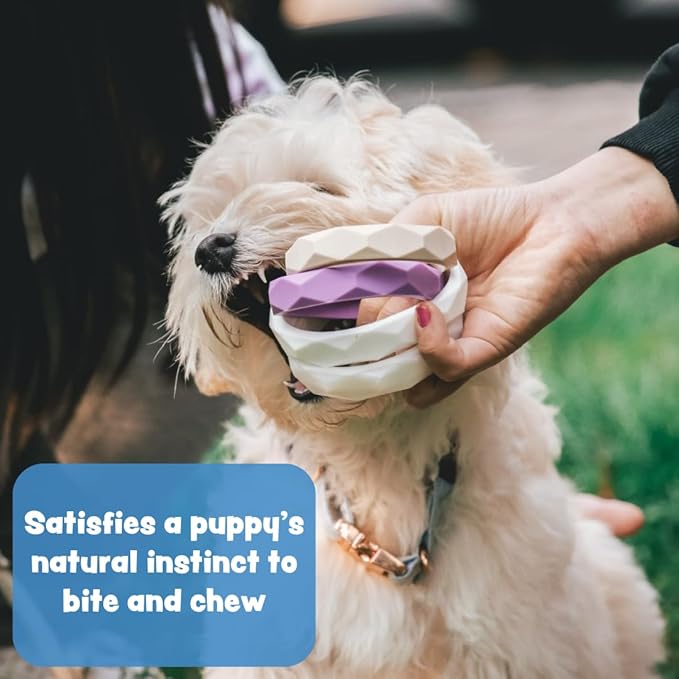 Puppy Teething Rings - 4 Pack, Bracelet Food Grade Silicone Chew Toys for Small Dogs-Medium Dog, Puppy Nipping Solution Toys, Chew Toys for Puppies 0-6 Months - Dreidel Dawg