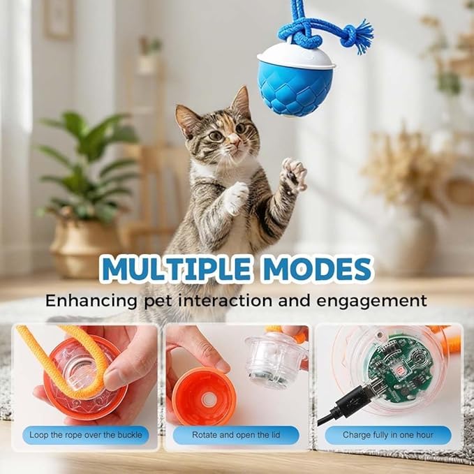 Interactive Dog Toys Motion Activated Automatic Rolling Ball Toys for Small/Medium/Large Dogs Balls for Boredom to Keep Them Busy with USB Rechargeable(Blue)