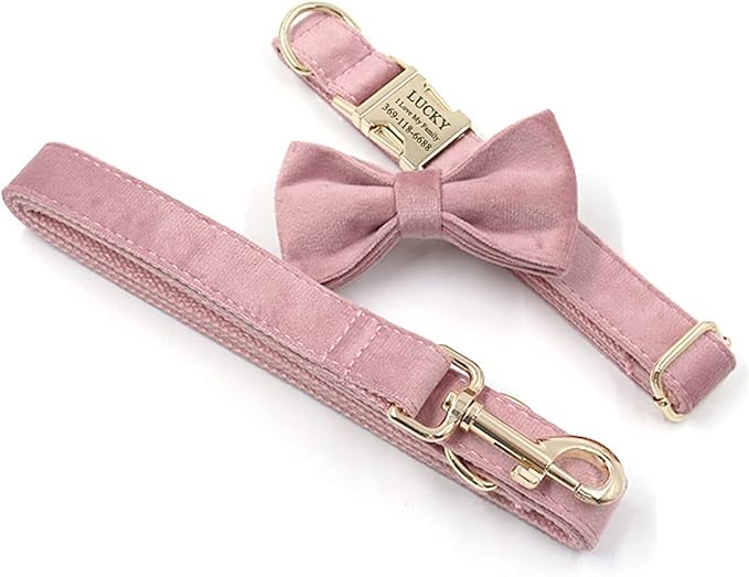 PETDURO Custom Dog Collar Personalized with Name Engraved Gold Metal Buckle for Large Medium Small Girl Dogs - Dog Leash and Bow Tie Available - Soft Comfy Velvet (Champagne Pink, L)