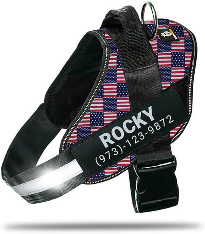 Personalized No-Pull Dog Harness with Name Patch, Adjustable, Reflective, Padded, Heavy Duty Pet Vest to Prevent Tugging, Pulling, or Choking, Training and Walking, US Flag, XL