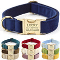 PETDURO Custom Dog Collar Personalized with Name Engraved Quick Release Rose Gold Metal Buckle for Large Medium Small Girl Dogs - Dog Leash and Bow Tie Available - Soft Comfy Velvet (Dark Blue, XL)