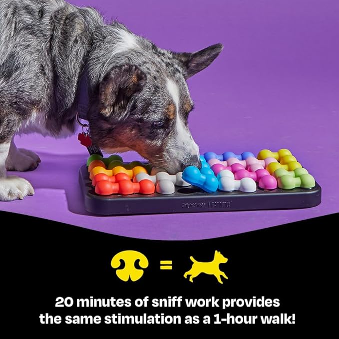 Brightkins Kanoodle Dog Edition Large - Interactive Puzzle Toys, Enrichment Slow Feeder, Training Tool for Puppies