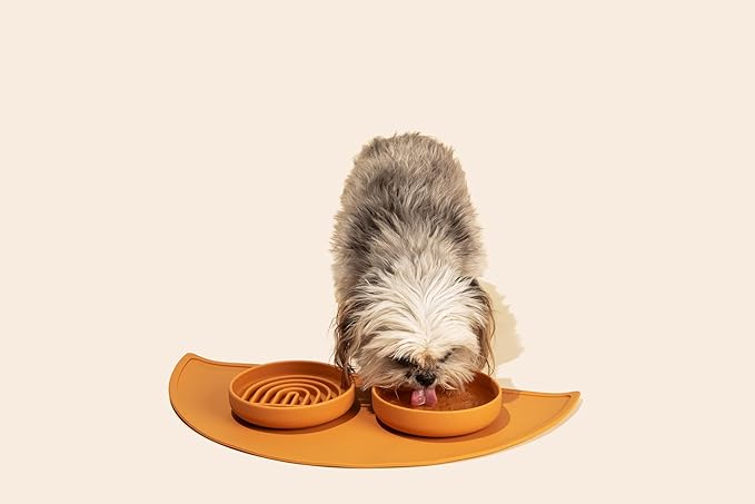 Should We Go? Dog Water Bowl - The Perfect Dish No-Spill, Less Mess Non-Tippable Water & Food Bowl, Pure Silicone with Suction Cup, Fits 2 Cups 6” Across x 1.25” Tall, Ideal for All Pets, Small-Ocean