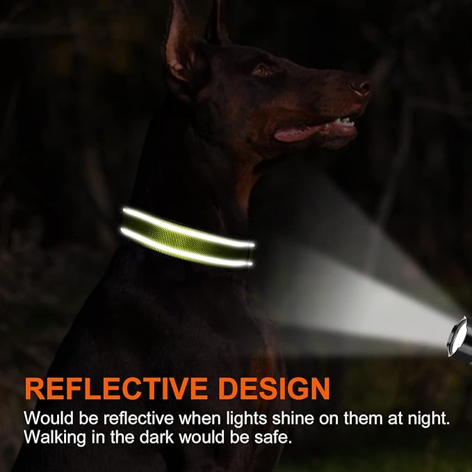 Joytale Personalized Dog Collars with Engraved Name Plate, Silent No Jingle Custom Nylon Collar with Fixed ID Tag, Reflective Soft Neoprene Padded Breathable for Medium Dogs, Green