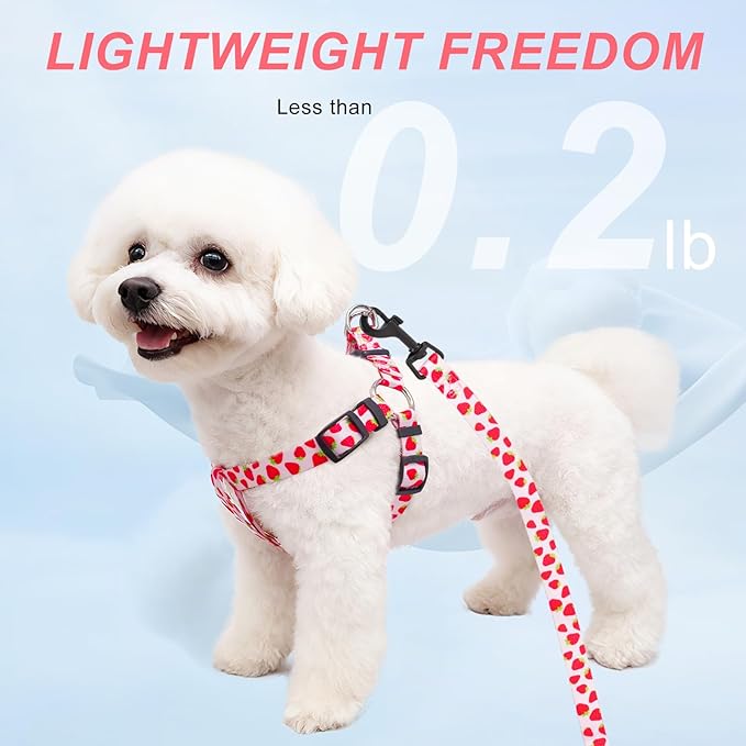 BEAUTYZOO Dog Harness Small Sized Dog Girl, No Pull Dog Harness and Leash Set,Step in Soft Light Puppy Vest, No Choke Heavy Duty Dog Halter with Bell,Breathable Adjustable Nylon Pet Harnesses, Pink M