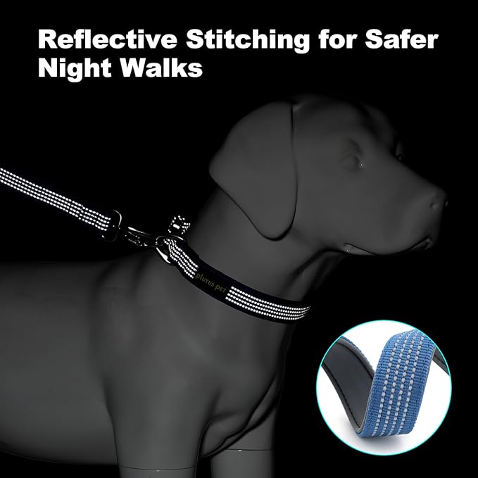 Plutus Pet Reflective Dog Collar with Aviation Aluminum Buckle, Neoprene Padded for Comfort, Lightweight, Heavy Duty Nylon Collar for Puppy Small Medium Large Dogs (Blue, XL)