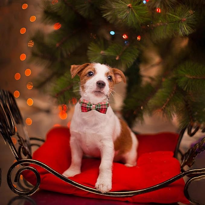Elegant little tail Dog Collar with Bow, Comfotable Dog Bowtie, Bowtie Dog Collar Adjustable Dog Collars for Small Medium Large Dogs and Cats